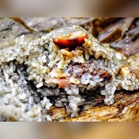 “征服”新视角：非物质策略在情感关系建立中的深度解析